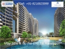 2,3,4 Bhk Residential Flats For Sell  in New Chandigarh  