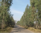 Agricultural Land For Sale Harni Village Bhilwara (Rs.75 lac)